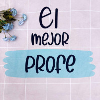 toalla el mejor profe