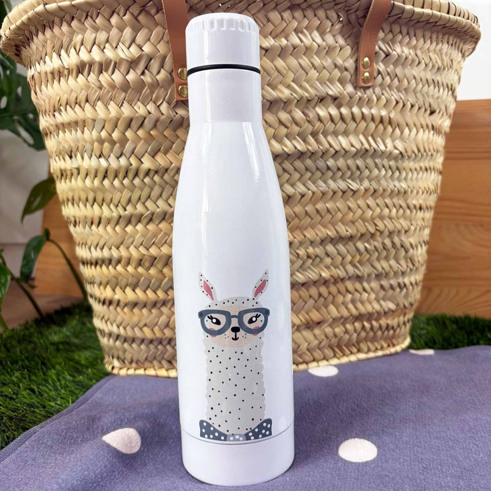 botella acero pack llama